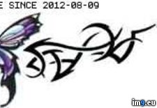 Tags: butterfly4, design, tattoo, tribal (Pict. in Tribal Tattoos)