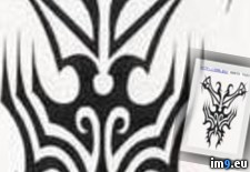 Tags: design, tattoo, tribal9 (Pict. in Tribal Tattoos)