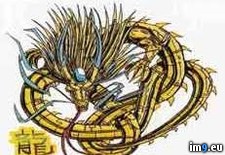 Tags: design, serpent, tattoo, vismw, yellow (Pict. in Dragon Tattoos)