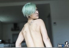 Tags: boobs, girls, goosebumps, hot, porn, sexy, softcore, tchip, tits (Pict. in SuicideGirlsNow)