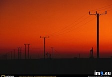Tags: poles, telephone (Pict. in National Geographic Photo Of The Day 2001-2009)