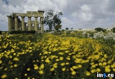 Tags: hera, temple (Pict. in National Geographic Photo Of The Day 2001-2009)