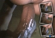 Tags: bbc, biggest, bliss, bottom, fucking, gallery, gay, gif, karl, latest, penis, sissy, white (GIF in Gay Twinks)