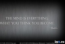 Tags: buddha, mind, quote, you (Pict. in Rehost)