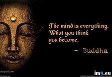 Tags: buddha, mind, quote (Pict. in Rehost)