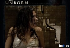 Tags: horror, movies, unborn (Pict. in Horror Movie Wallpapers)