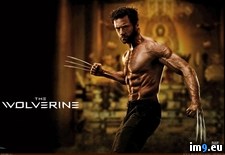 Tags: movie, wallpaper, wide, wolverine (Pict. in Unique HD Wallpapers)