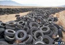 Tags: tire (Pict. in Alternative-News.tk)
