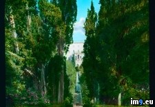 Tags: approach, cypress, este, lined, tivoli, villa (Pict. in Branson DeCou Stock Images)