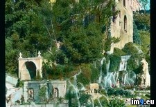 Tags: este, gardens, tivoli, villa, water (Pict. in Branson DeCou Stock Images)