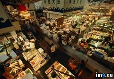 Tags: fish, market, tokyo (Pict. in National Geographic Photo Of The Day 2001-2009)