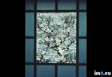 Tags: inn, tomoe, window (Pict. in National Geographic Photo Of The Day 2001-2009)