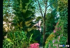 Tags: carlotta, detail, garden, path, tremezzo, villa (Pict. in Branson DeCou Stock Images)