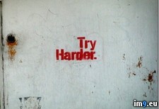 Tags: art, city, harder, try (Pict. in Rehost)