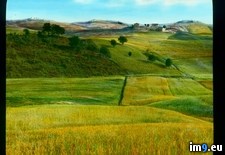 Tags: fields, landscape, tuscany (Pict. in Branson DeCou Stock Images)