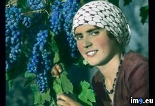 Tags: girl, grape, portrait, tuscany, vine (Pict. in Branson DeCou Stock Images)