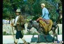 Tags: donkey, front, man, riding, tuscany, walking, woman (Pict. in Branson DeCou Stock Images)