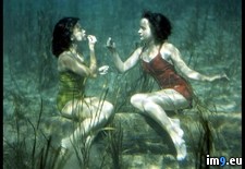 Tags: beauty, underwater (Pict. in National Geographic Photo Of The Day 2001-2009)