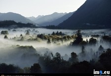 Tags: fog, valley (Pict. in National Geographic Photo Of The Day 2001-2009)