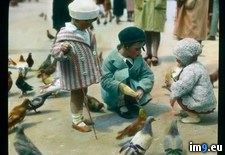 Tags: children, pigeons, venice (Pict. in Branson DeCou Stock Images)