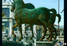 Tags: constantinople, detail, horses, looted, marco, san, two, venice (Pict. in Branson DeCou Stock Images)