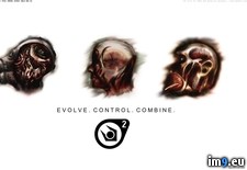 Video Game Half Life 26699 - 87 KB Tags: game, life, video (Pict. in Games Wallpapers)