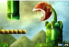 Tags: game, mario, video (Pict. in Games Wallpapers)