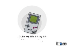 Tags: game, nintendo, video (Pict. in Games Wallpapers)