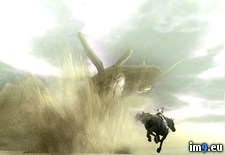 Tags: colossus, game, shadow, video (Pict. in Games Wallpapers)