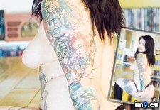 Tags: boobs, emo, girls, hot, picturesque, softcore, tatoo, tits, vulpixvixen (Pict. in SuicideGirlsNow)