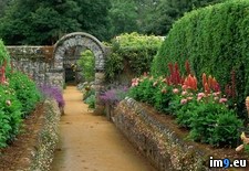 Tags: channel, garden, gardens, islands, sark, seigneurie, walled (Pict. in Beautiful photos and wallpapers)