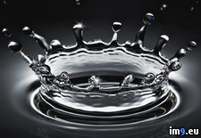 Tags: droplet, water (Pict. in Beautiful photos and wallpapers)