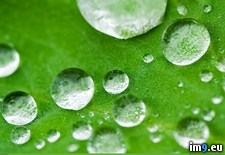 Tags: waterdrops (Pict. in 1920x1200 wallpapers HD)