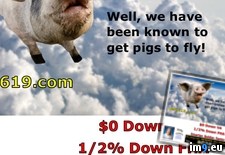 When Pigs Fly Linda Ring Century 21 Award San Diego - 121 KB Tags: award, century, diego, fly, linda, pigs, ring, san (Pict. in Linda Ring Century 21 Award San Diego Real Estate)