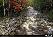 Tags: mountain, stream, white (Pict. in National Geographic Photo Of The Day 2001-2009)