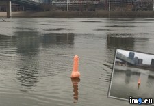 Tags: floating, giant, ohio, penis, river, wtf (Pict. in My r/WTF favs)