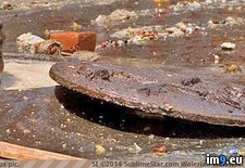 Tags: chennai, india, man, overflow, sewer, unclogging, wtf (Pict. in My r/WTF favs)