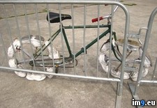 Tags: bike, odd, real, wtf (Pict. in My r/WTF favs)