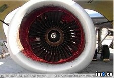 Tags: aftermath, engine, jet, man, sucked, wtf (Pict. in My r/WTF favs)