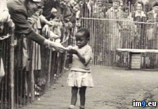 Tags: african, belgium, exhibit, girl, human, wtf, zoo (Pict. in My r/WTF favs)
