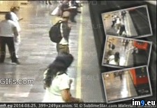 Tags: attempted, murder, planned, subway, wtf (GIF in My r/WTF favs)