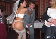 Tags: bachelor, combo, party, wedding, wtf (Pict. in My r/WTF favs)
