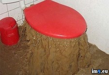 Tags: ain, bet, toilet, wtf (Pict. in My r/WTF favs)