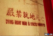 Tags: chinese, logic, wtf (Pict. in My r/WTF favs)