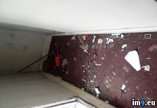 Tags: cleared, father, flat, for, old, out, tenants, was, wtf, year (Pict. in My r/WTF favs)