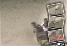 Tags: couch, racing, wtf (GIF in My r/WTF favs)