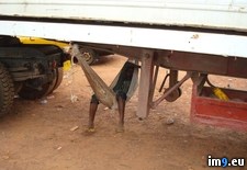 Tags: africa, driving, travel, west, wtf (Pict. in My r/WTF favs)
