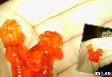 Tags: eating, gummis, suddenly, wtf (Pict. in My r/WTF favs)