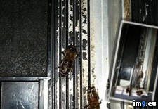Tags: album, bees, friend, full, garage, removal, remove, service, wtf (Pict. in My r/WTF favs)