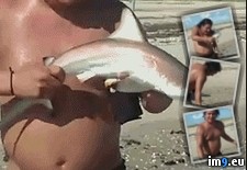 Tags: animalsbeingjerks, fuck, shark, wtf, you (GIF in My r/WTF favs)